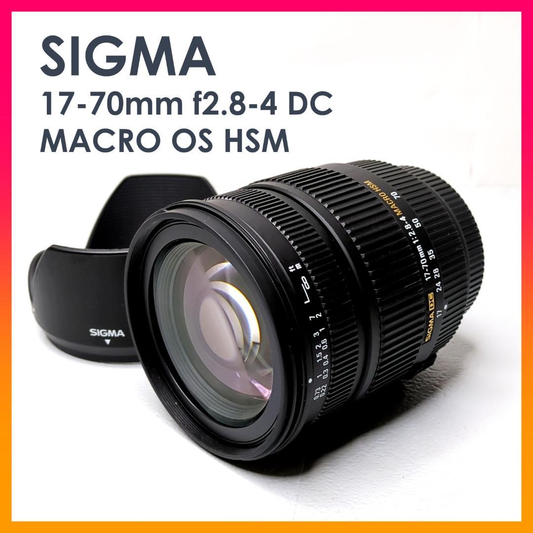 SIGMA 17-70mm f2.8-4 DC MACRO OS HSM ソニー