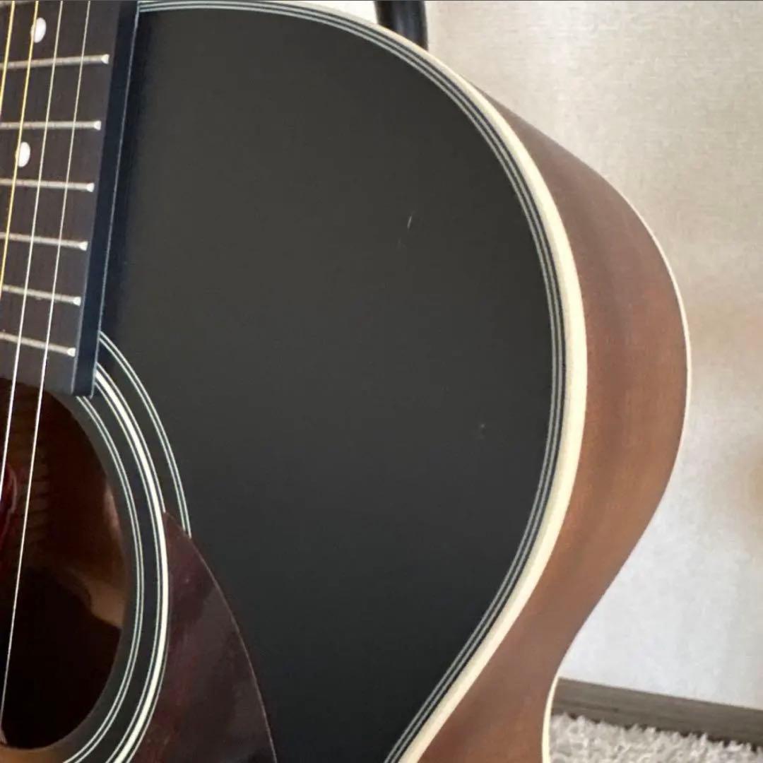 【きゃの】Stafford エレアコ