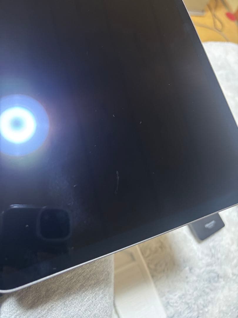 iPad Pro (専用商品)