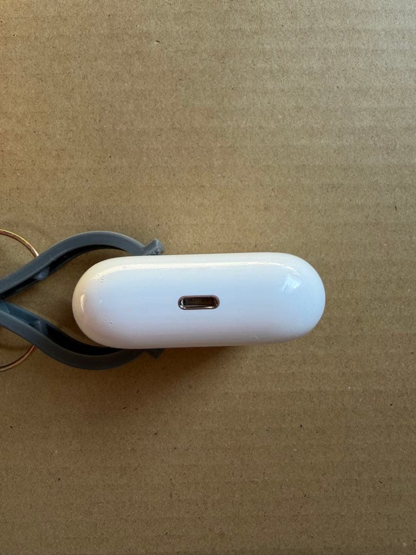 AirPods本体とレザーケース　AirPods Pro