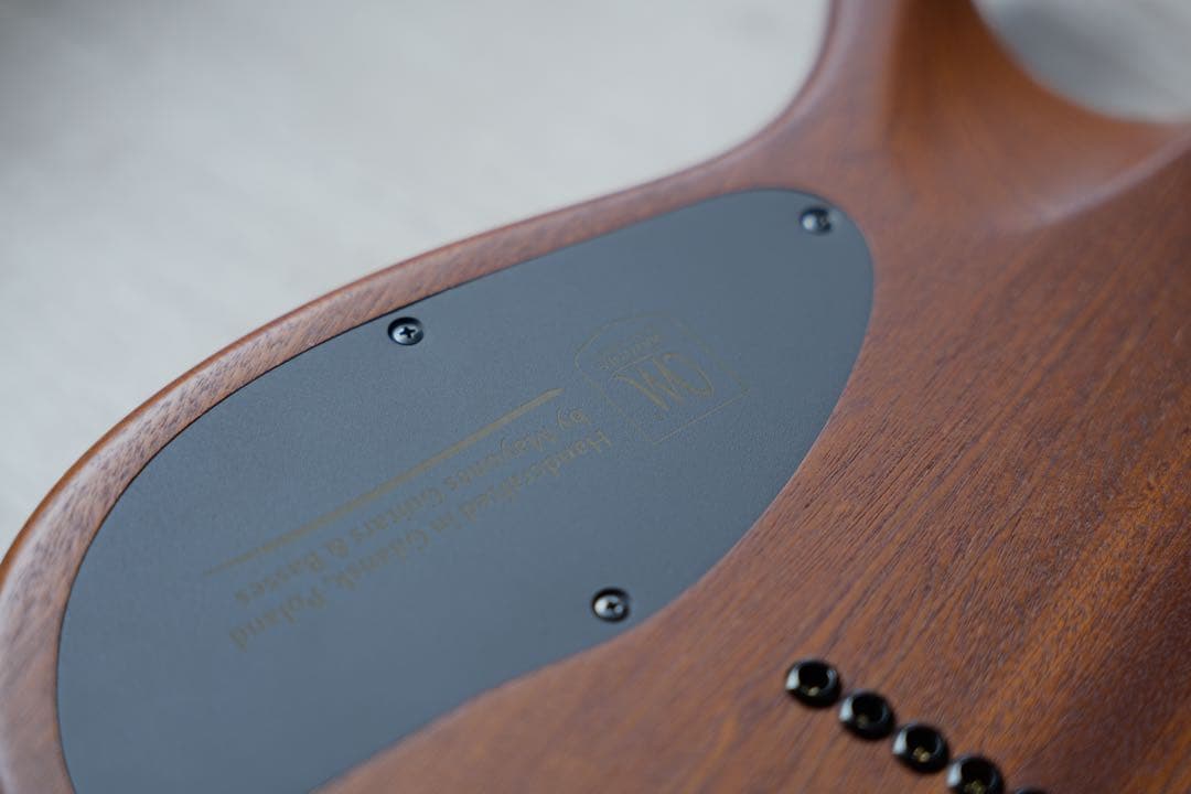 ギター MAYONES Duvell6 Elite