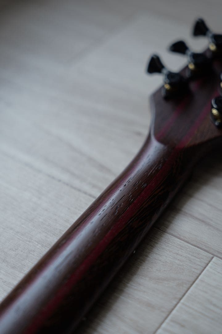 ギター MAYONES Duvell6 Elite