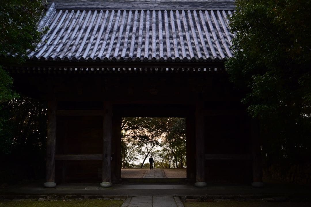 Nikon Z6 本体/オプション多数/25.120枚/