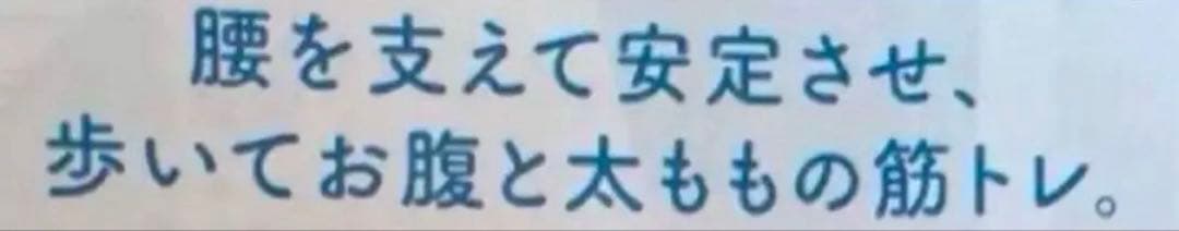 シャルレ　腰サポートガードル　82