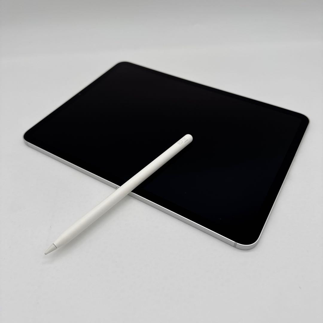 iPad Pro 11インチ 第二世代 シルバー セルラーモデル ★おまけ付き