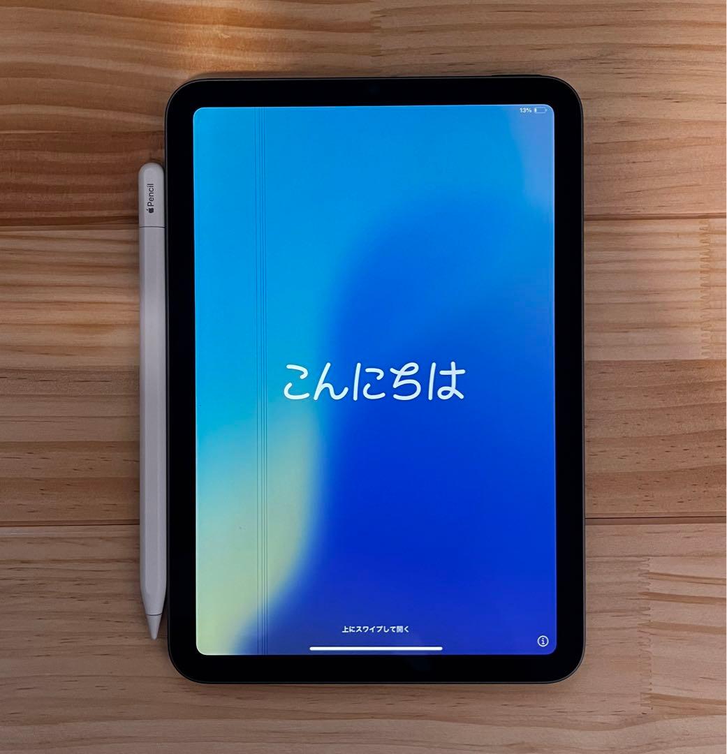 [純正ペンシル付き]iPad mini 7 (256GB)