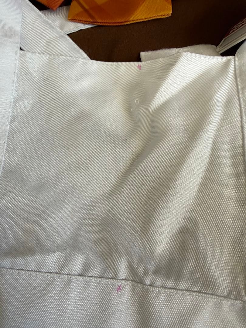 にじさんじ星川サラ　ココスコラボ衣装Lサイズ・靴24.5センチ