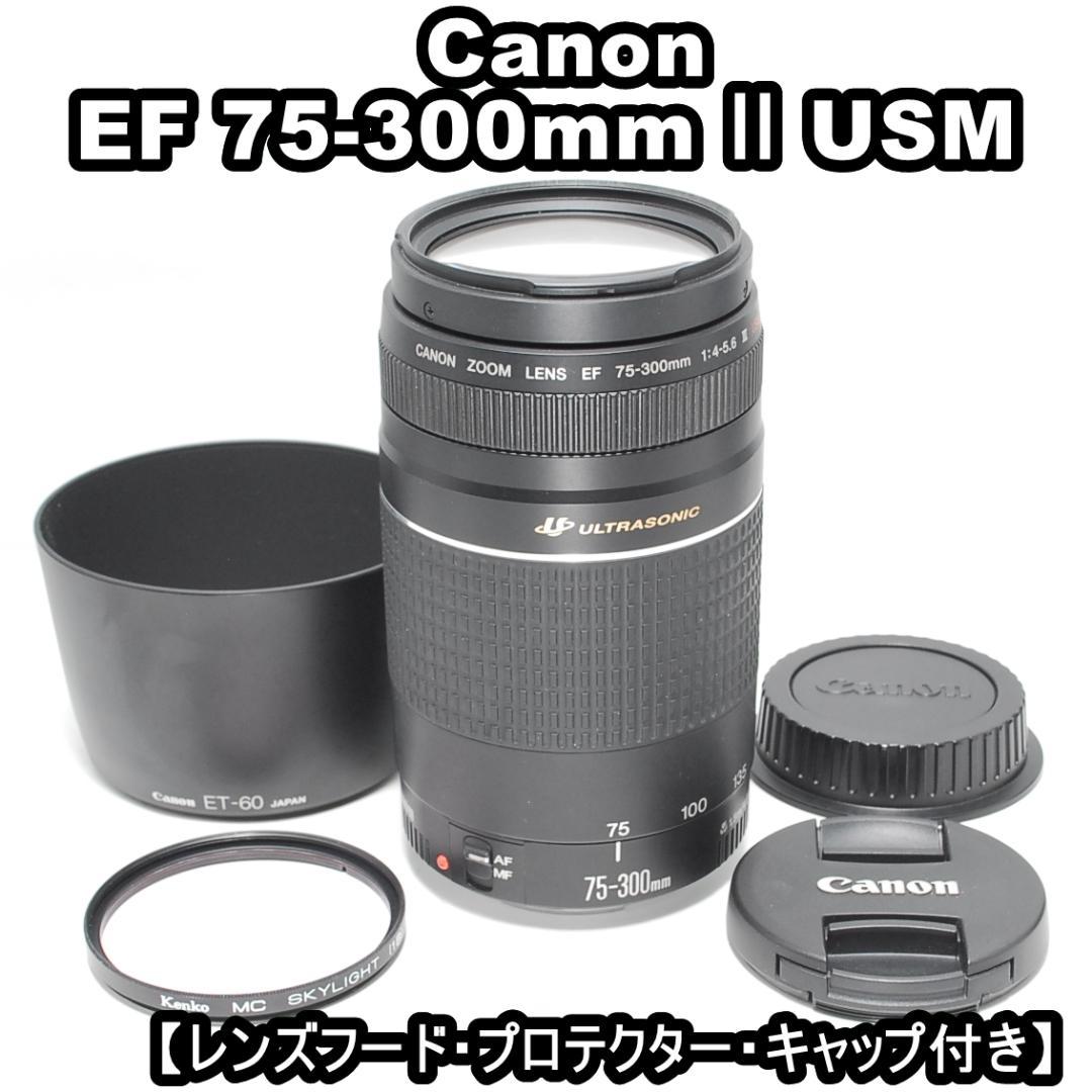 ❣望遠撮影に最適❣Canon EF 75-300mm II USM❣美品❣