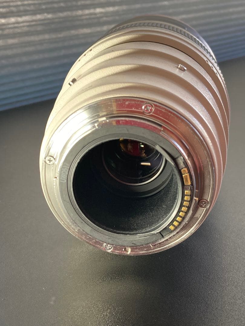 Canon EF 100-400mm ズームレンズ