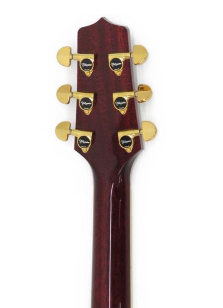 タカミネ　エレアコ　DMP551C