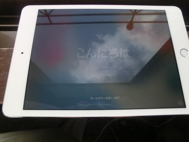 Apple iPad mini 第4世代 128GB Wi-Fiモデル