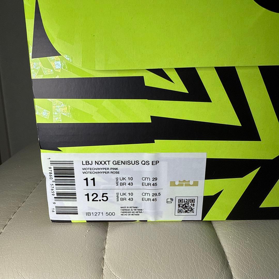 【新品未使用】LEBRON NXXT GENISUS 29cm