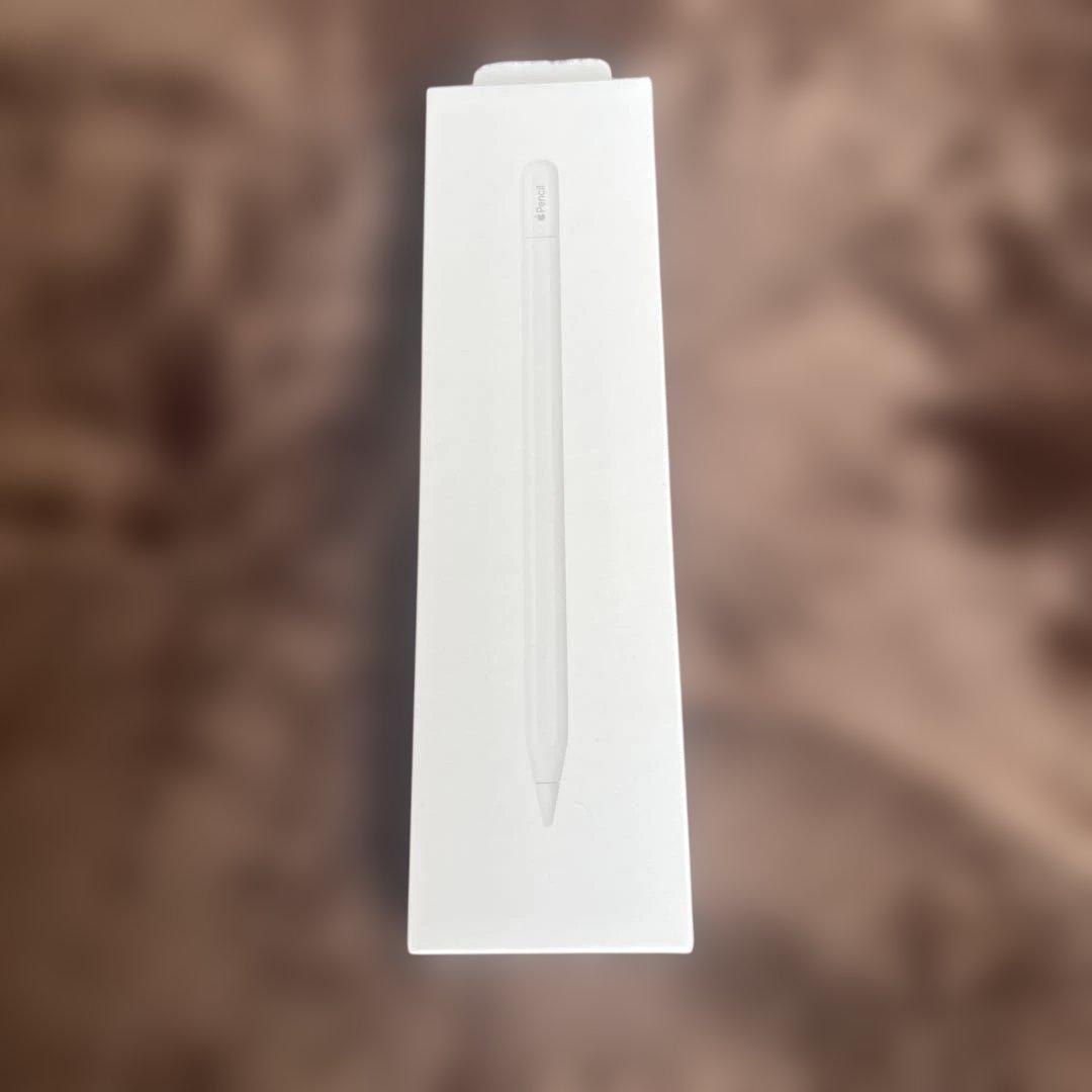 Apple Pencil ホワイト(USB-C) 専用ケース付き