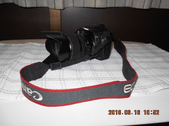 キャノンＥＳＯ－２０Ｄ