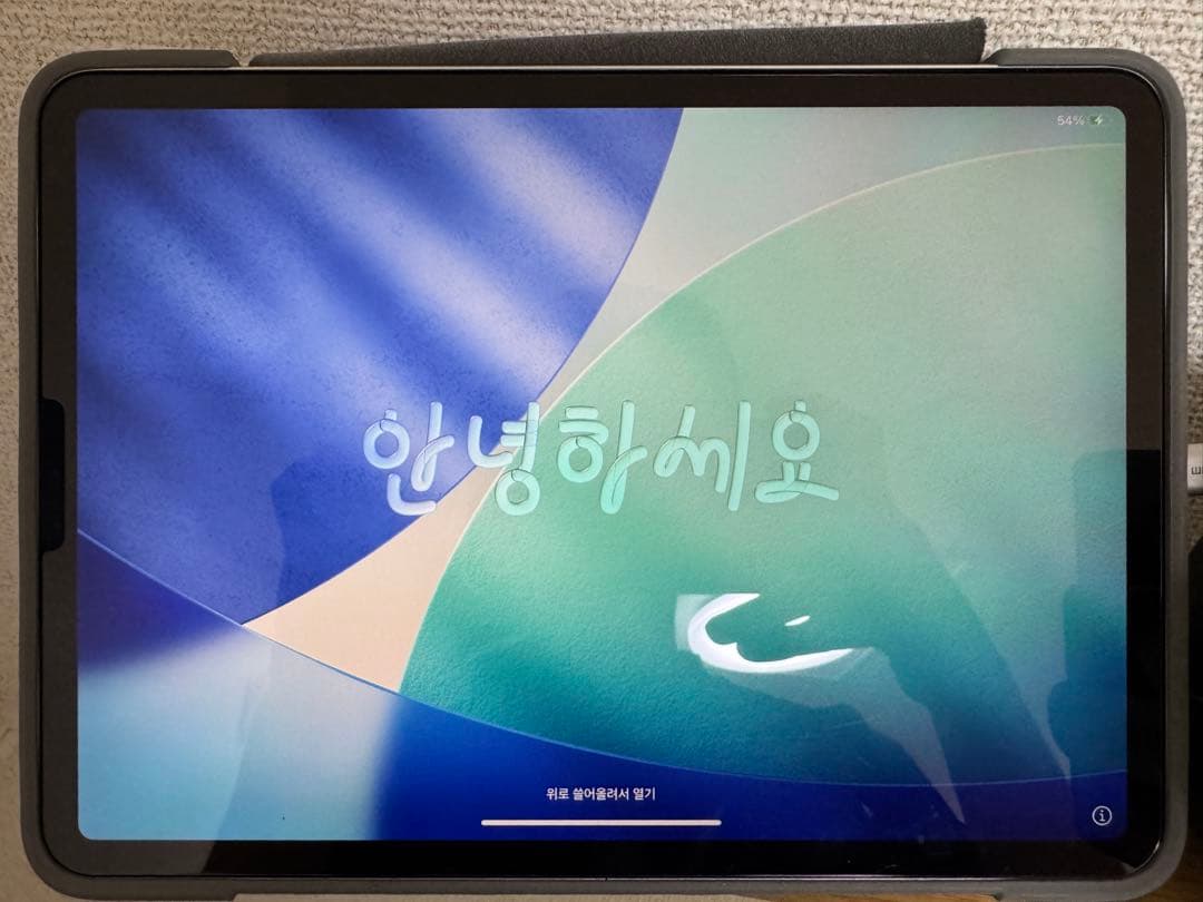 ミ*ト様 Apple iPad シルバー 本体　Pro 第一世代