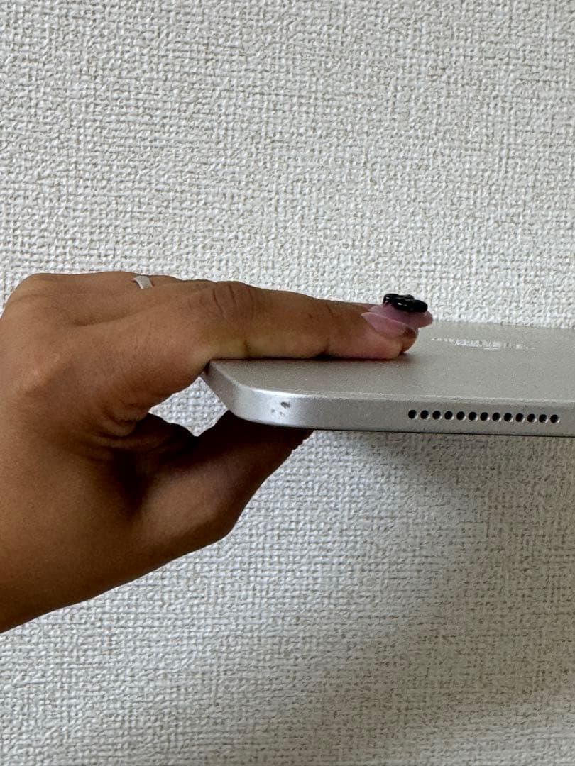 ミ*ト様 Apple iPad シルバー 本体　Pro 第一世代