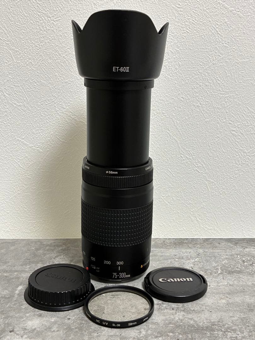 ⭐️美品⭐️ Canon EF 75-300mm F4-5.6 II フード付き望遠