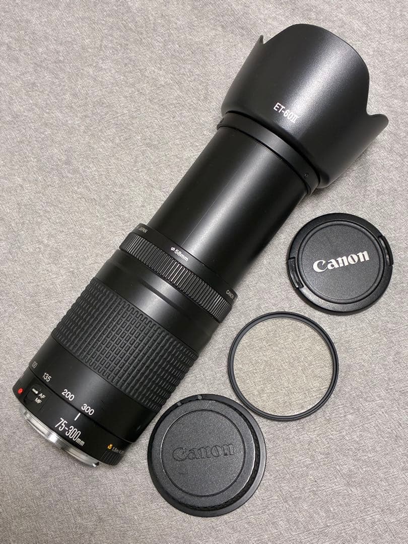 ⭐️美品⭐️ Canon EF 75-300mm F4-5.6 II フード付き望遠