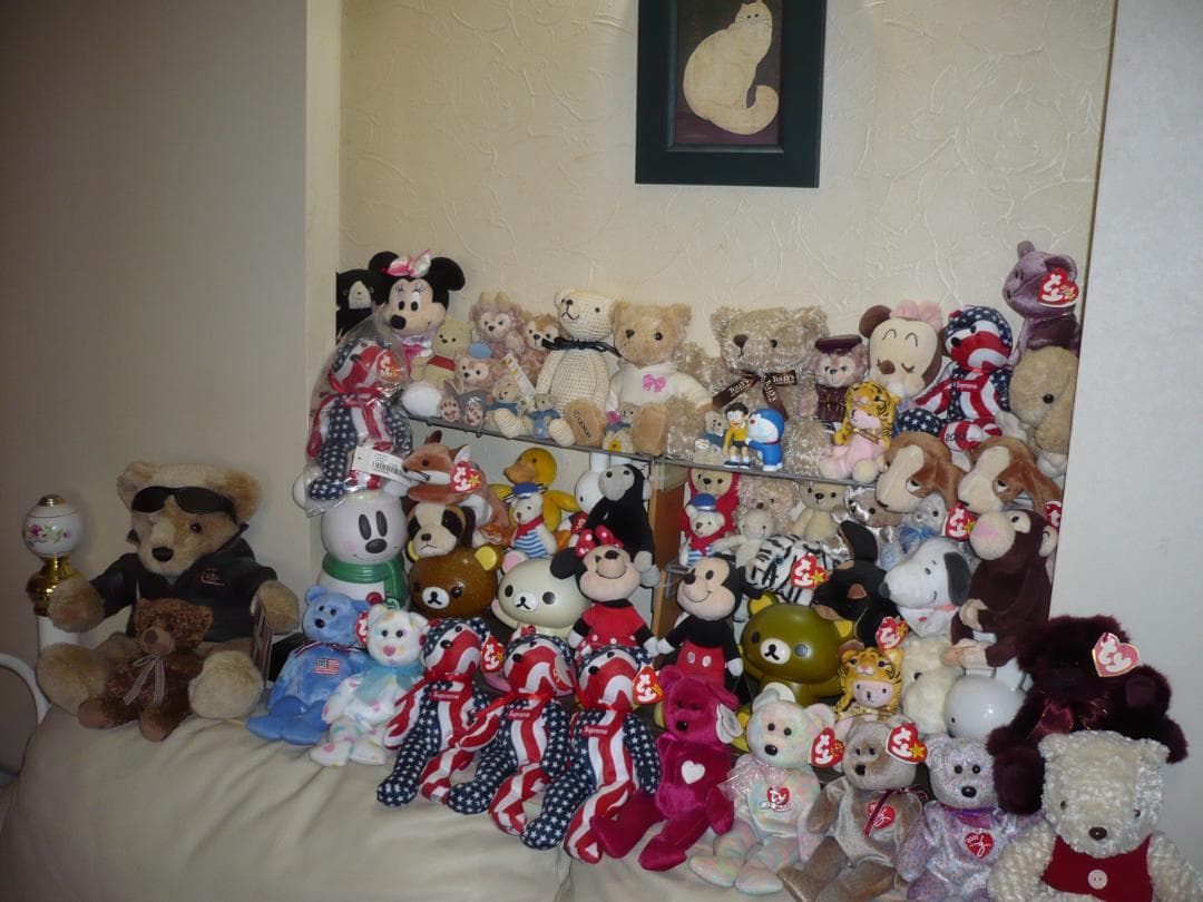 LUMIX★DMC-FS1⭐️飽きの来ないシルバー❤️安心の実働品