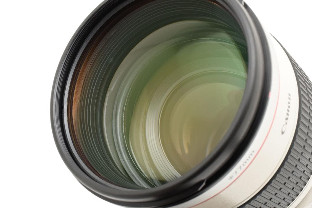 レンズケース付■美品■Canon EF70-200mm F2.8L IS USM