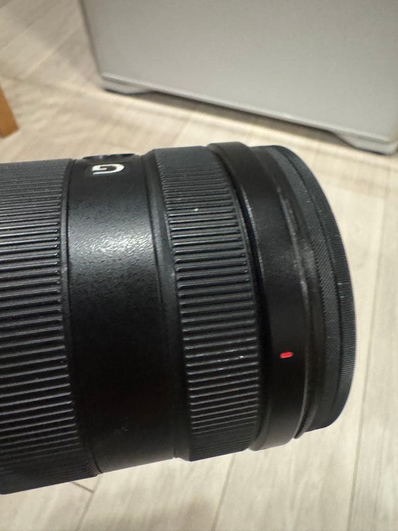 ご*ご様 SONY FE 24-105mm F4 G OSS SEL24105G