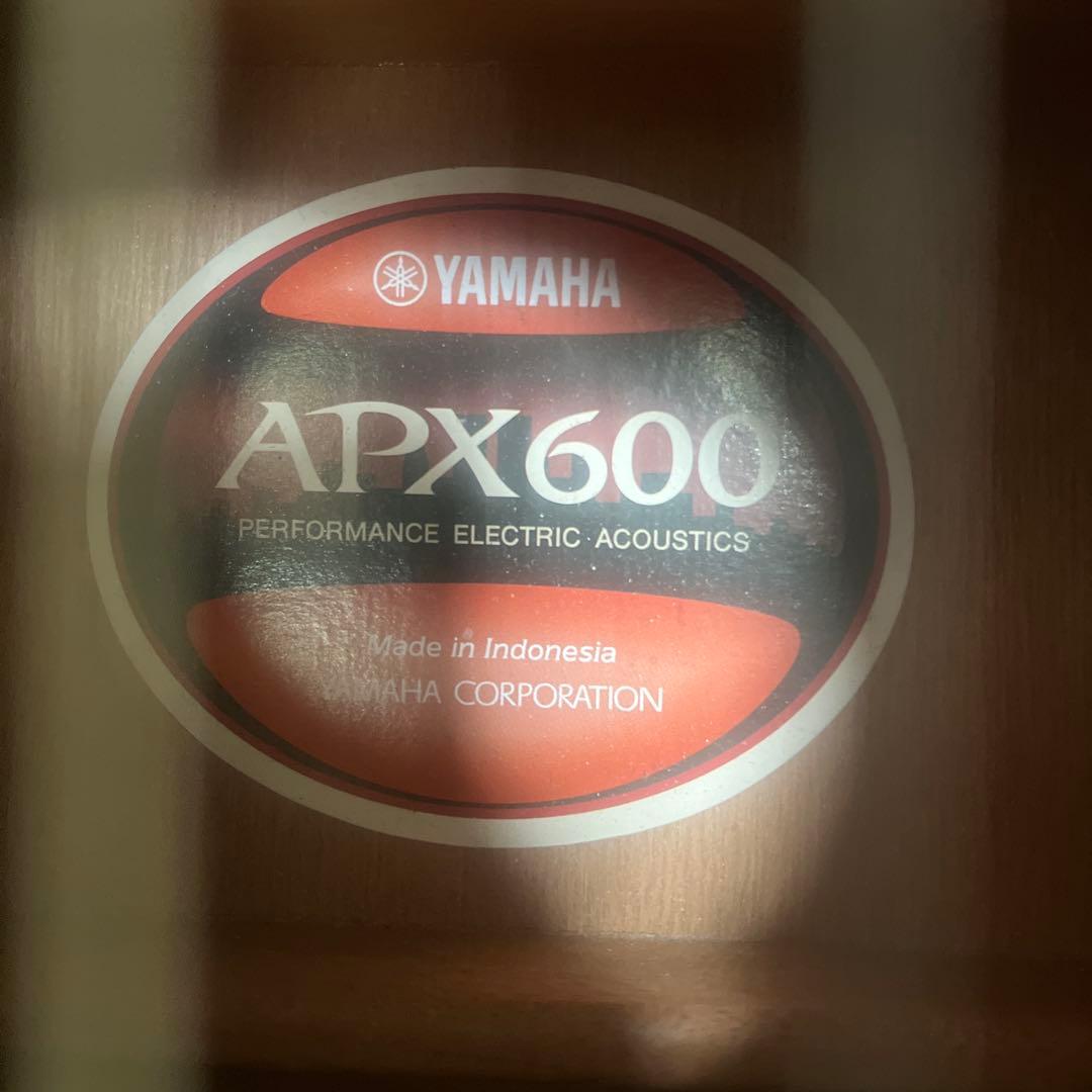 エレアコ　YAMAHA APX600 ケース付き