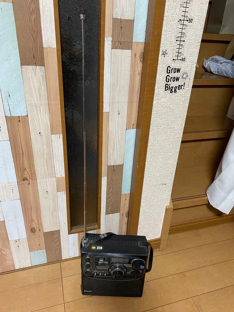 SONY skysensor 5900 動作確認済み！