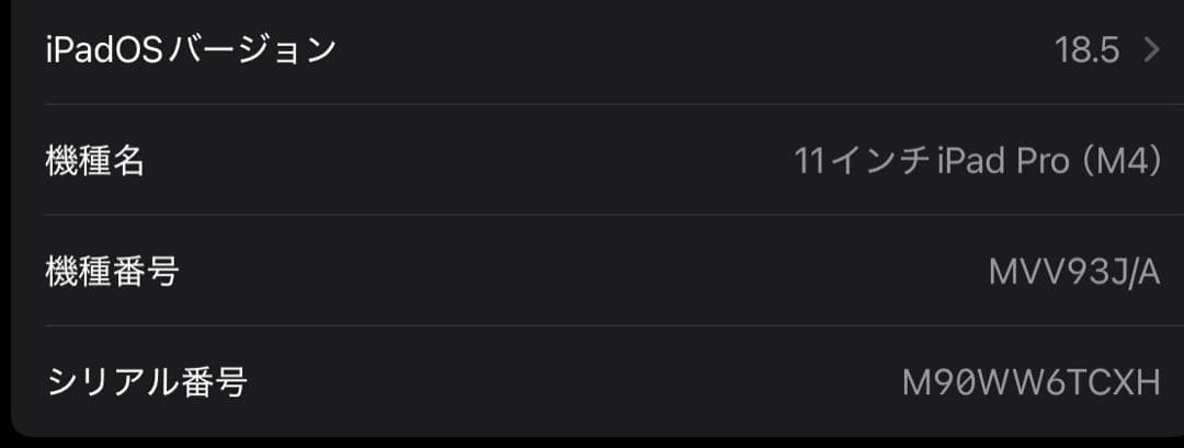 【美品】iPad Pro（M4） シルバー 11インチ 256GB