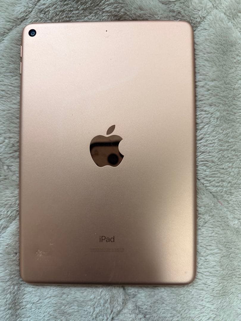 iPad mini5 ケース付き