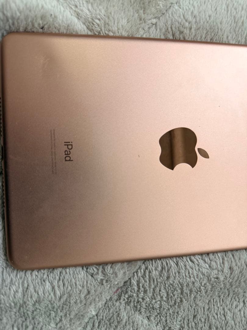 iPad mini5 ケース付き