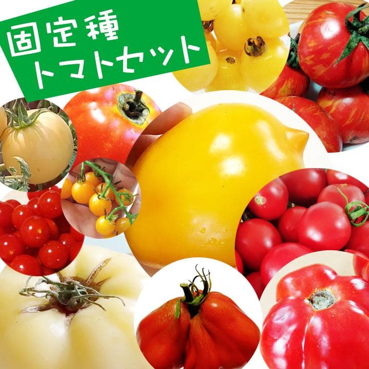 果菜 user_303446c0