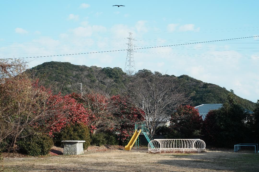 【この値段でライカ級】富岡光学製 XR RIKENON 50mm F2 389