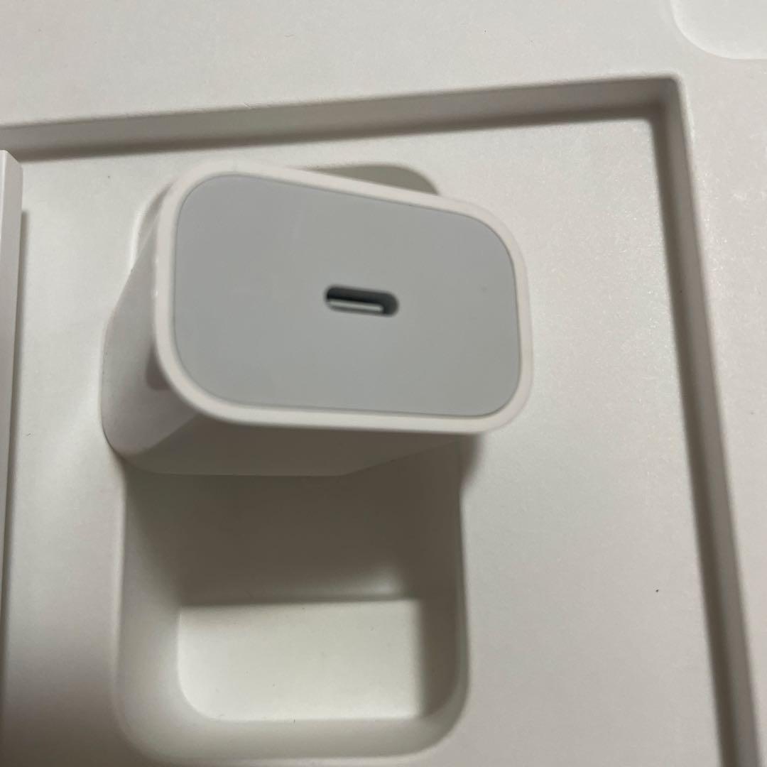 Apple iPad Pro 11インチ M1 (第3世代) Wi-Fi