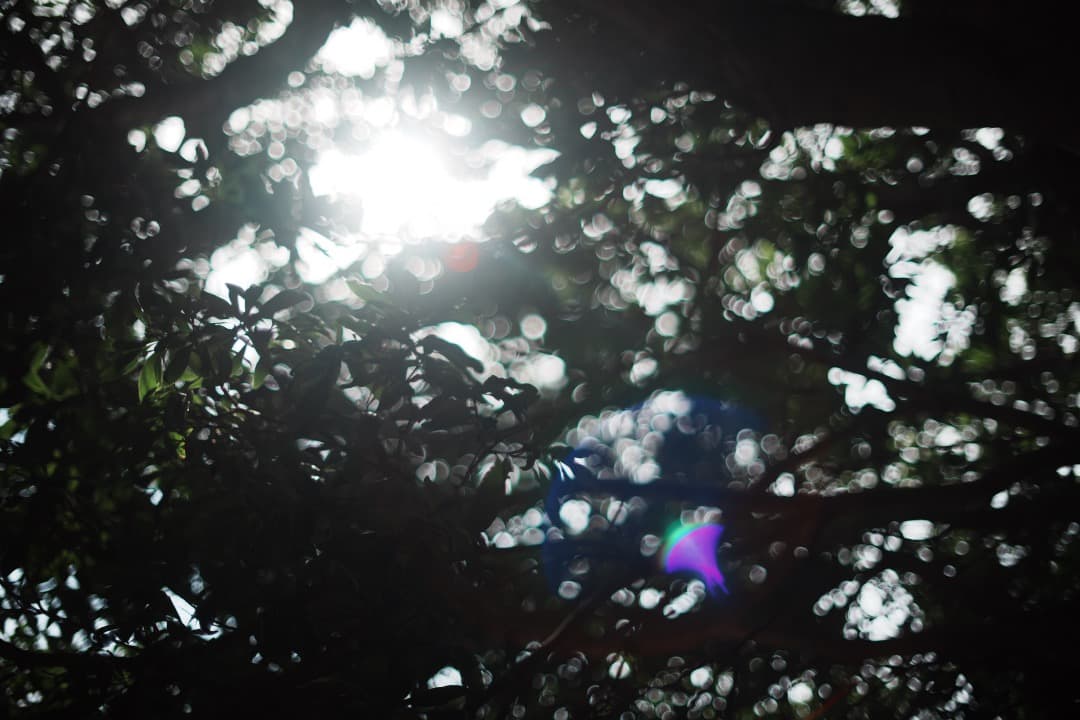 【美品】動作◎ オリンパス G.Zuiko auto 50mm F1.4 514