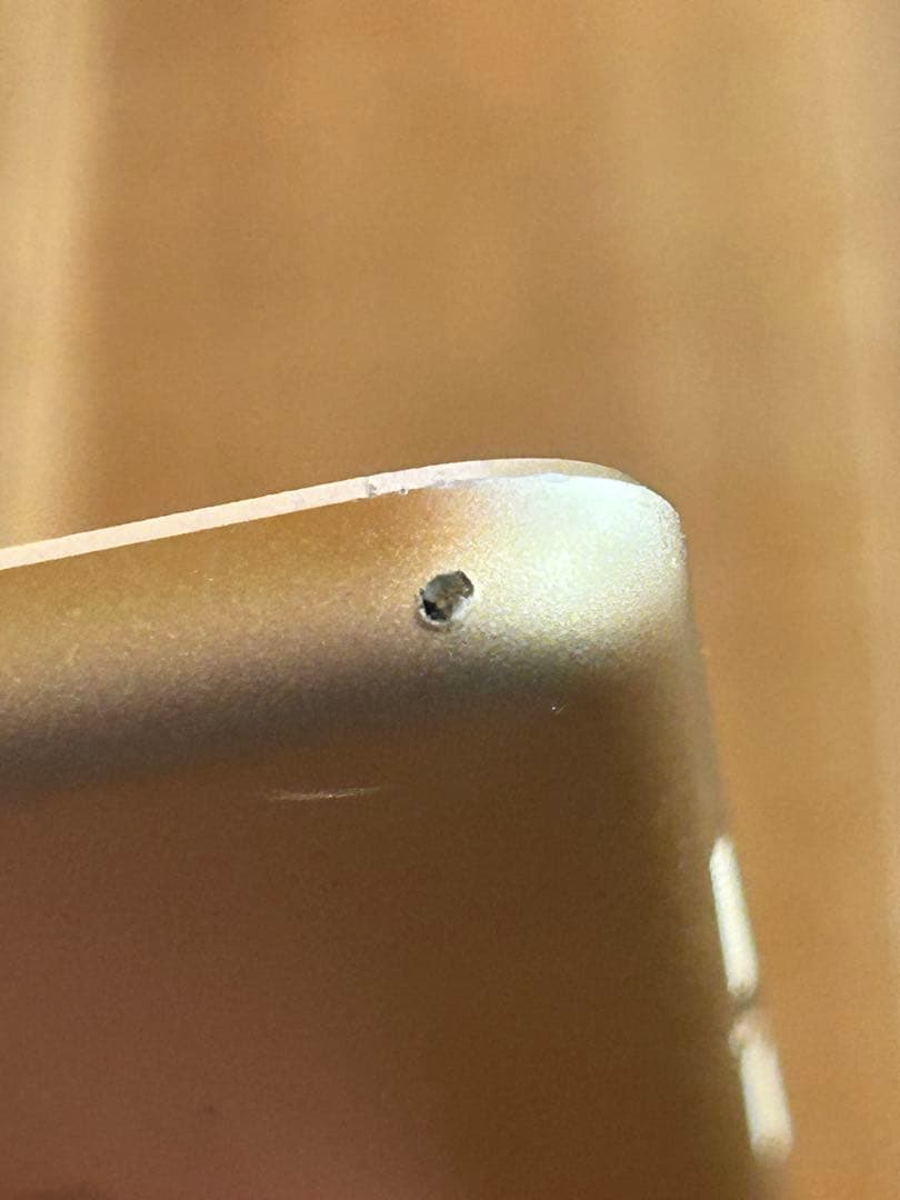 Apple iPad MPG42J/A 32G ゴールド 本体