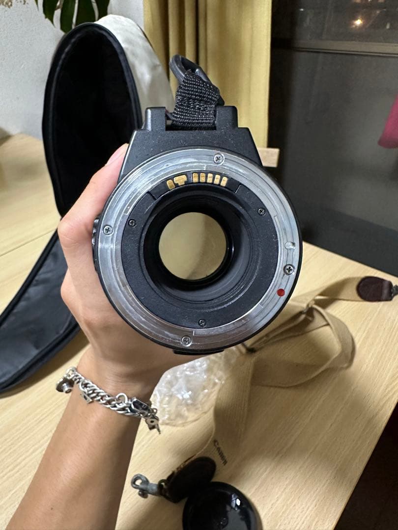 SIGMA APO300mm F2.8 Canon用