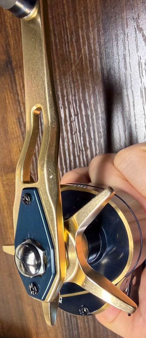 釣*し様 ダイワ ソルティガic 300H-SJ