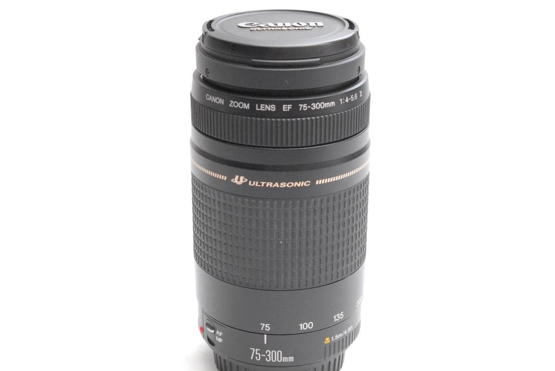 CANON ZOOM LENS EF 75-300mm 1:4-5.6 ⅡUSM