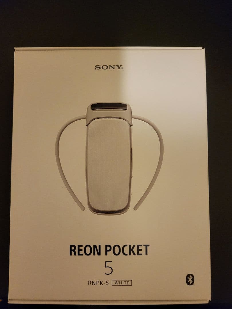 SONY　レオンポケット5