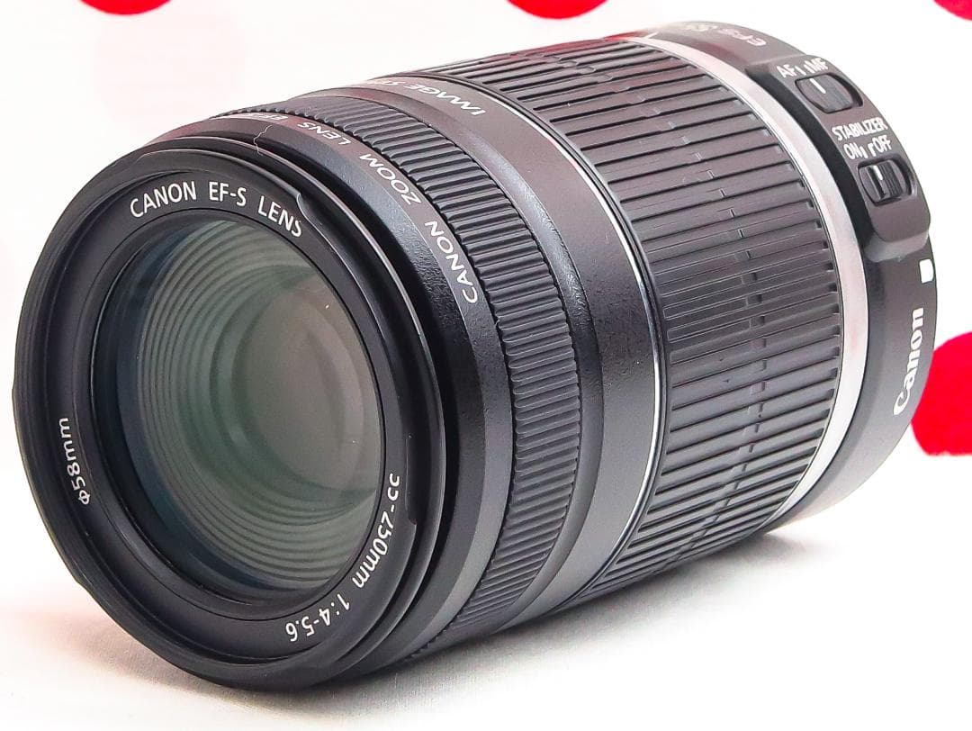 キャノン Canon EF-S 55-250mm IS❤安心の手振れ補正付き