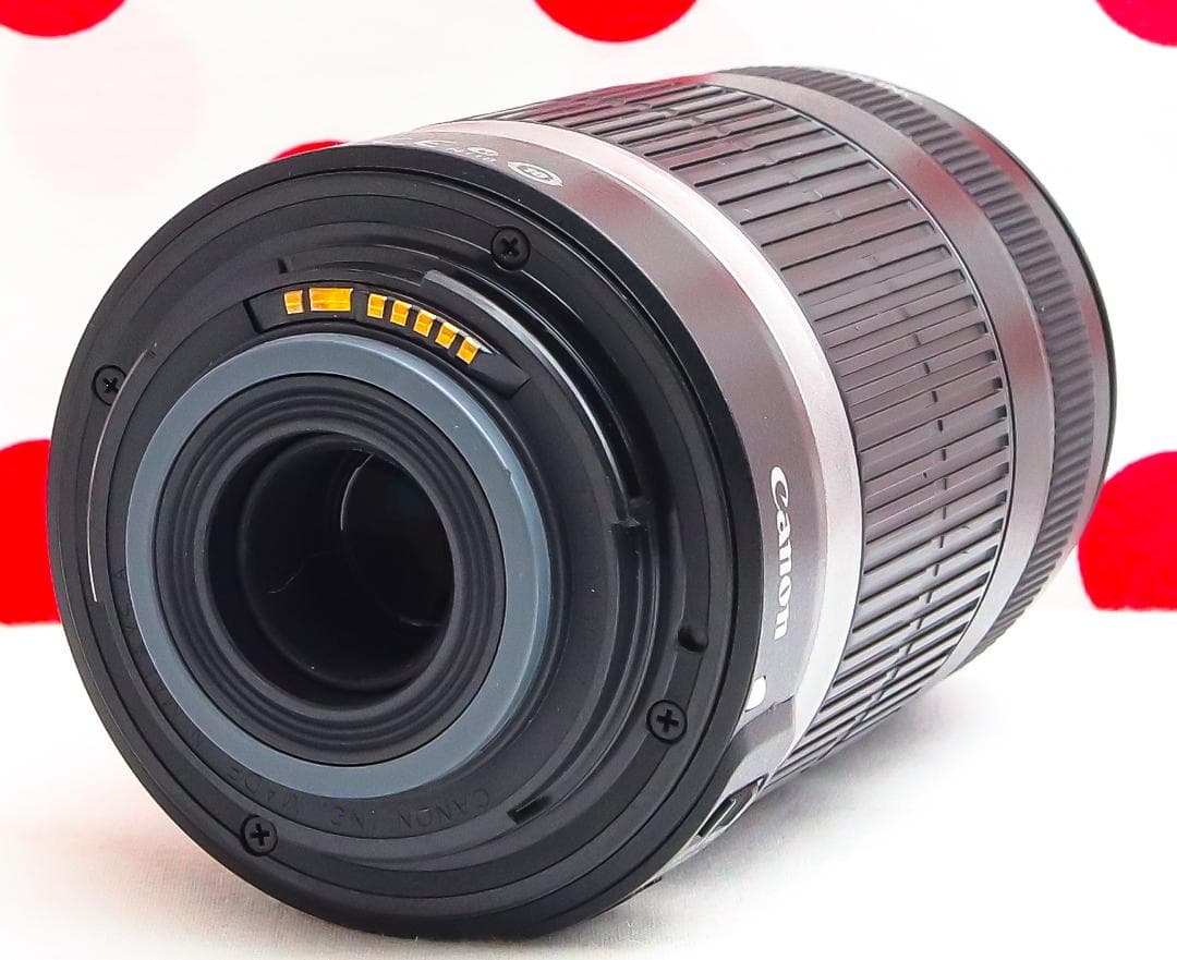 キャノン Canon EF-S 55-250mm IS❤安心の手振れ補正付き