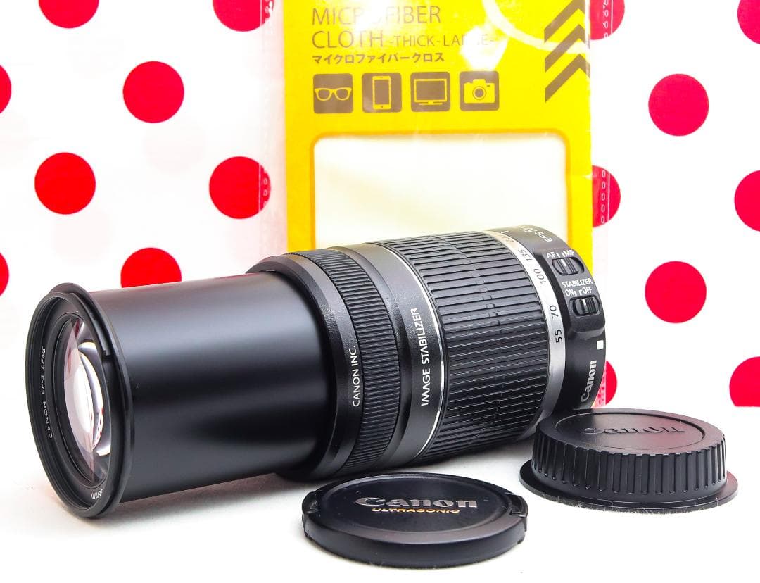 キャノン Canon EF-S 55-250mm IS❤安心の手振れ補正付き