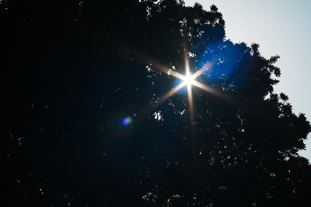 美品 Carl Zeiss Planar 50mm F1.7 MMJ 729