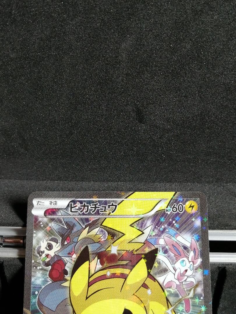 ピカチュウ　バトルフェスタ　2014