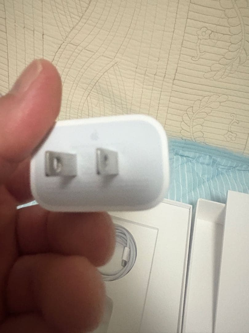 ⭕️一日だけ使用⭕️展示品並⭕️11インチiPadPro256GB第4世代Wi-Fi