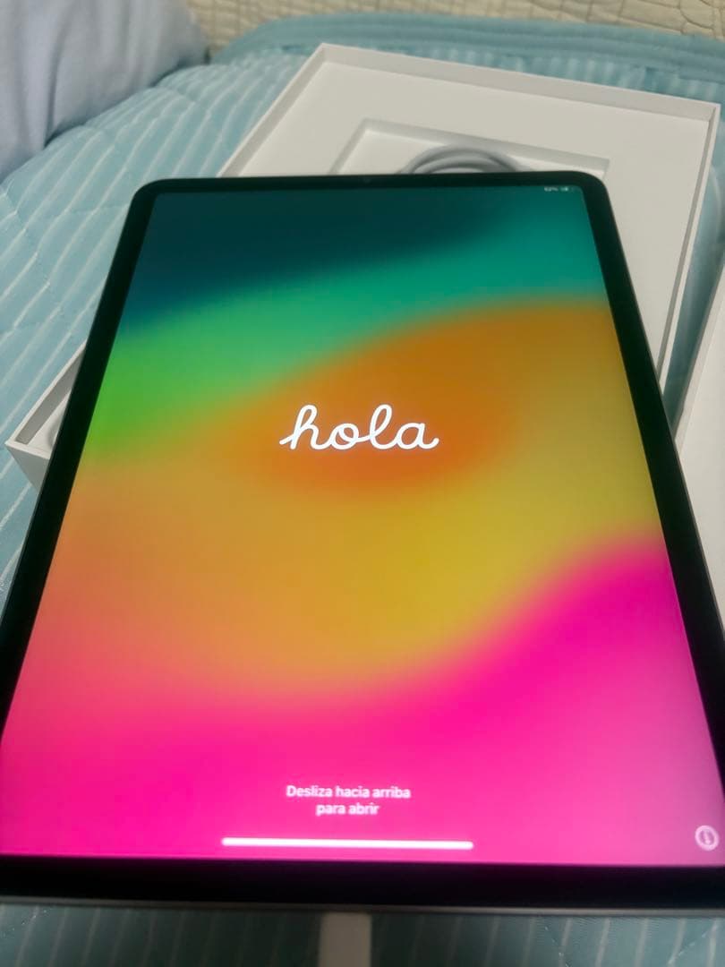 ⭕️一日だけ使用⭕️展示品並⭕️11インチiPadPro256GB第4世代Wi-Fi