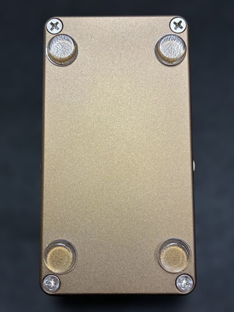 SUMO STOMP GAINSUMO 厳選個体！