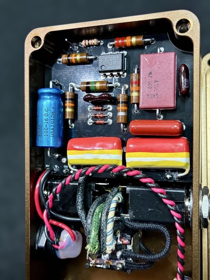 SUMO STOMP GAINSUMO 厳選個体！