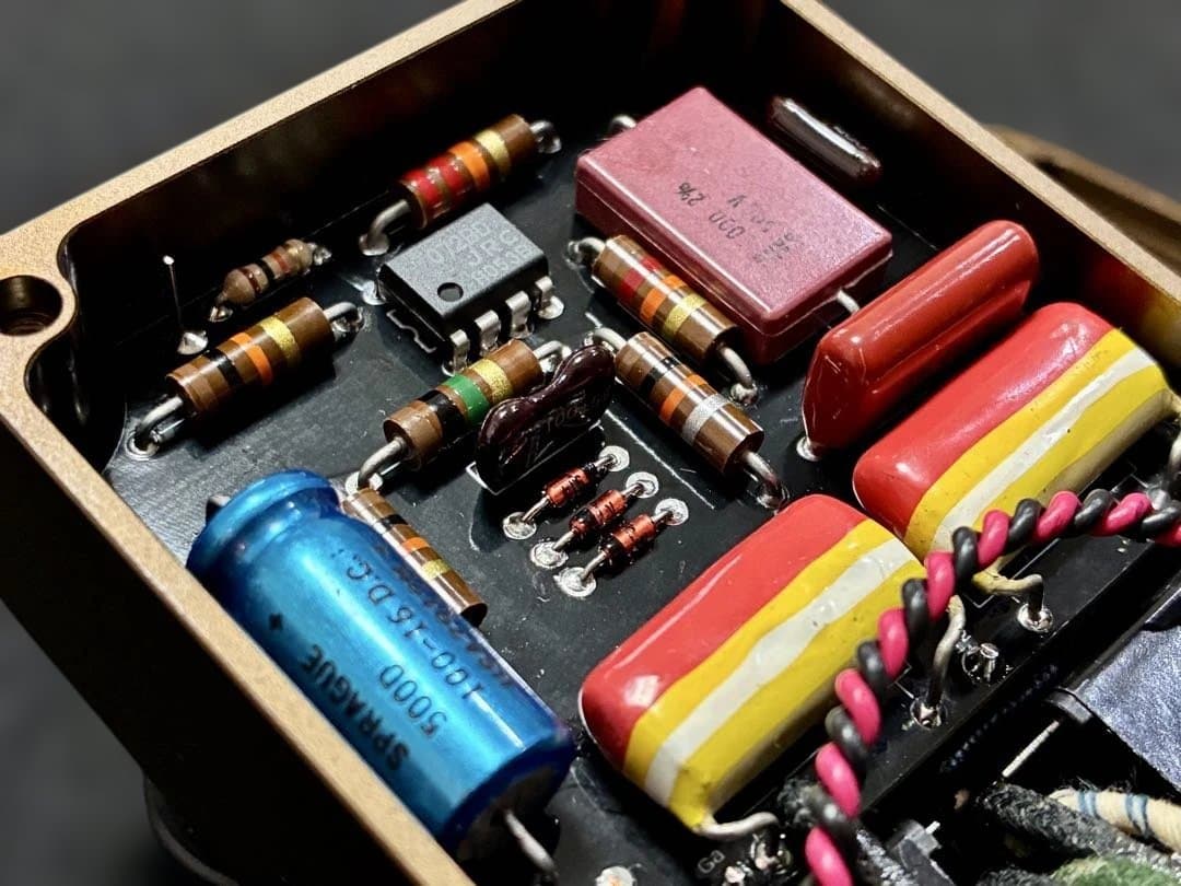 SUMO STOMP GAINSUMO 厳選個体！