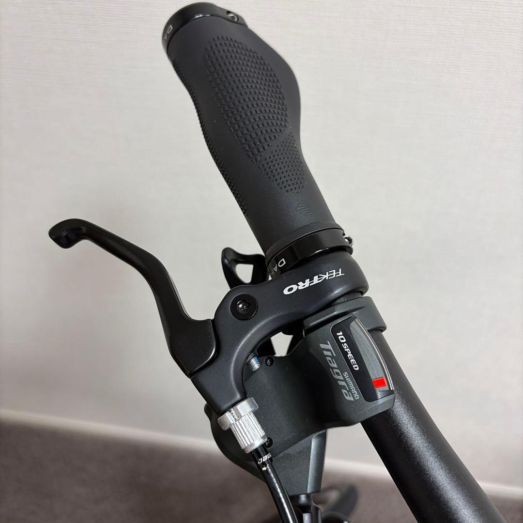 ダホン[DAHON] Visc EVO（ヴィスク エヴォ）20インチ 2024